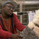 Illustration for article titled Comedy Central finally gives Hannibal Buress his own show